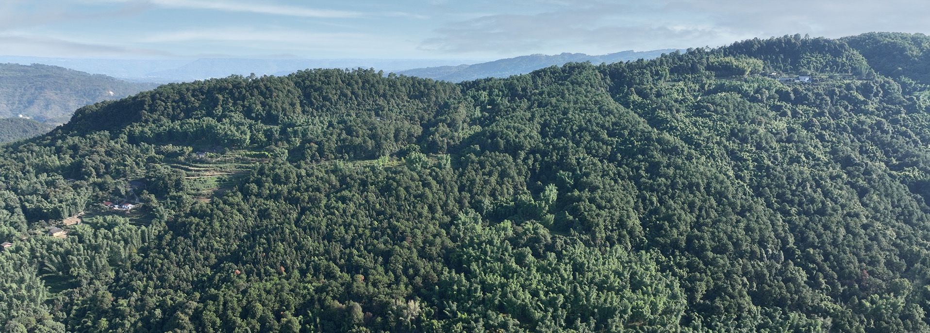 智慧森林無人機(jī)全自動巡邏方案