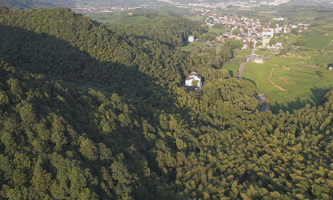 一文解析無人機森林防火，森林消防無人機的革命性應用